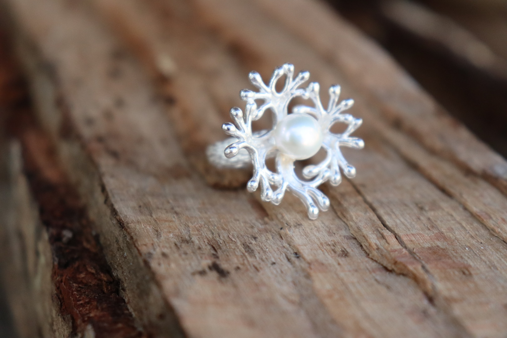 20201214130807_IMG_0048